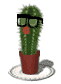 :cactus: